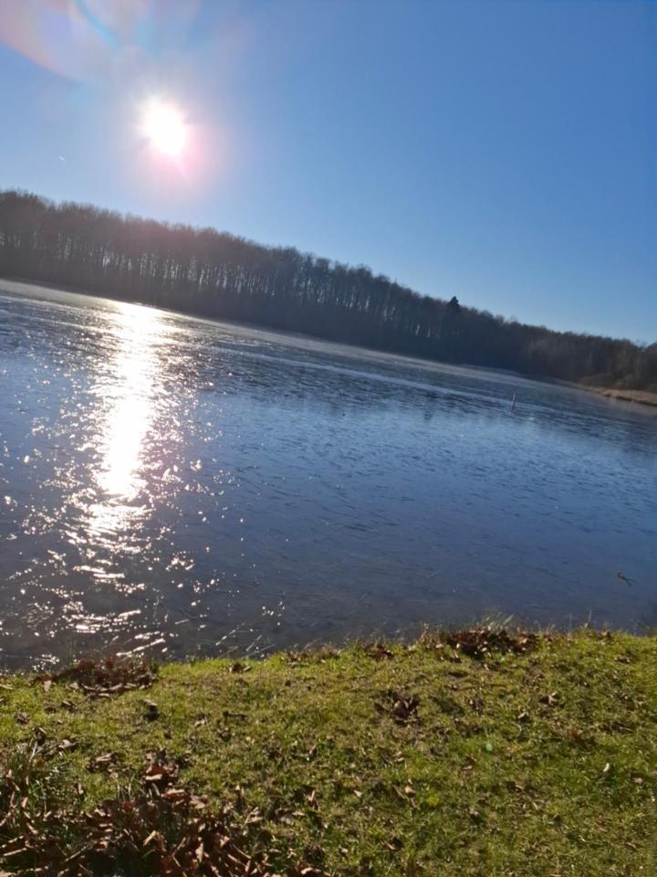 Hochwald Appartement Bad Sachsa Exteriér fotografie