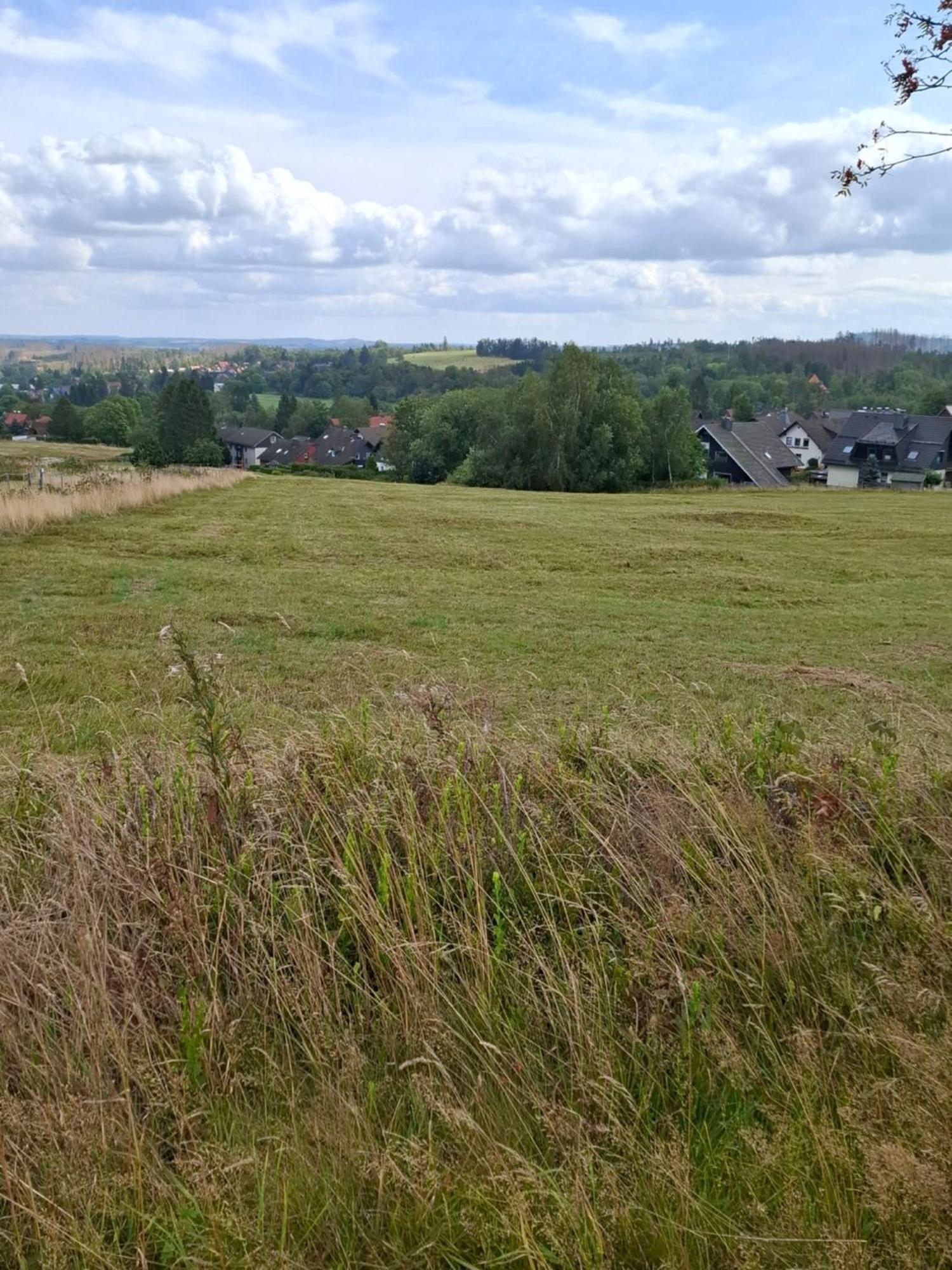 Hochwald Appartement Bad Sachsa Exteriér fotografie