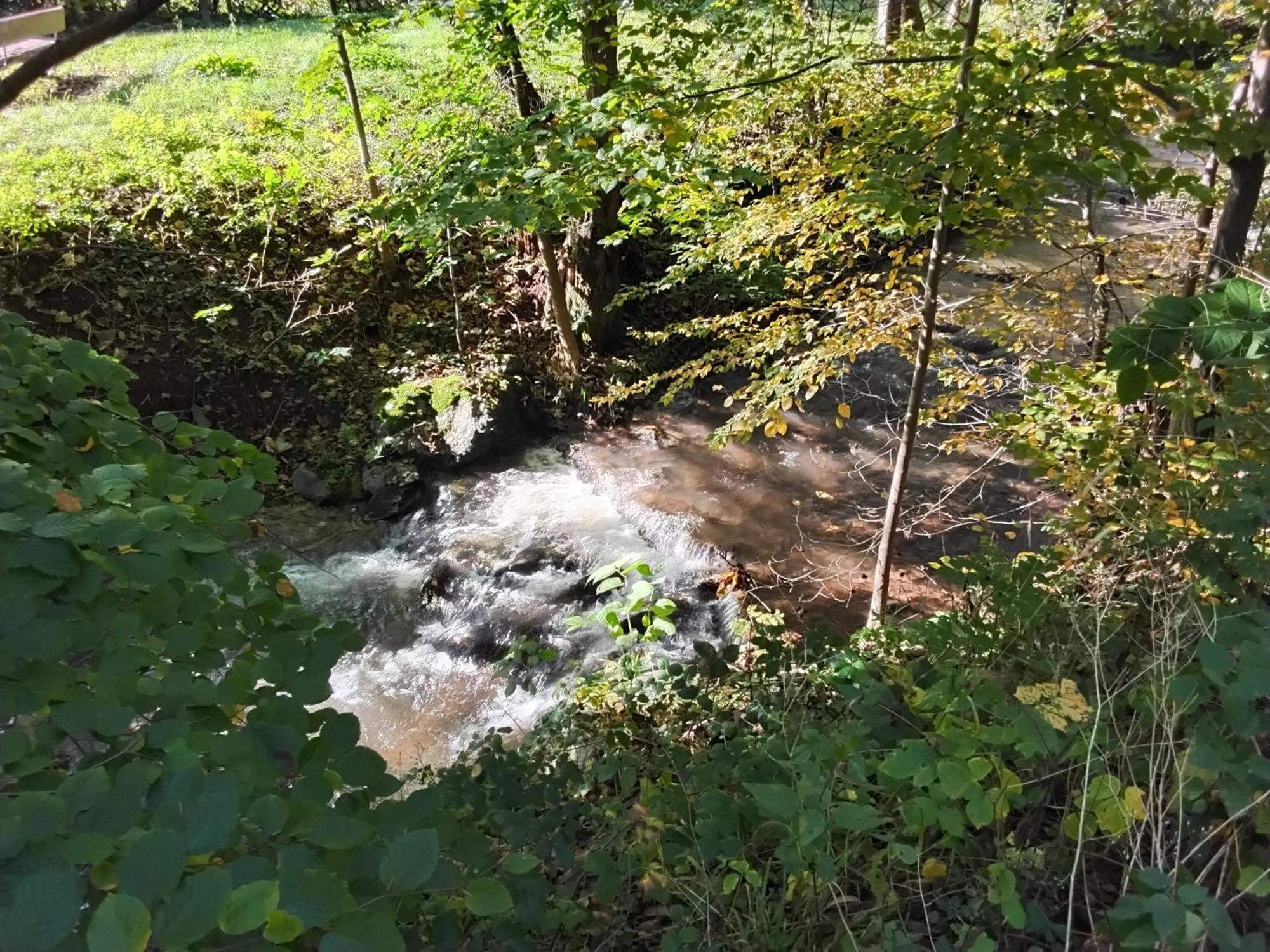 Hochwald Appartement Bad Sachsa Exteriér fotografie